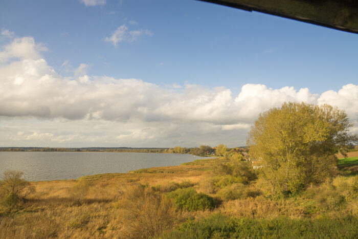 Gravelotte Verchen Joules Gummistiefel 13