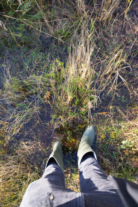 Gravelotte Verchen Joules Gummistiefel 6