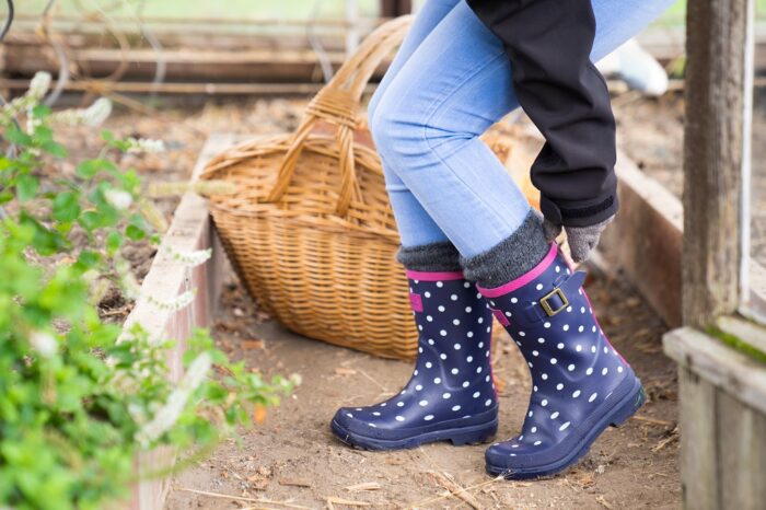Gummistiefel mit Punkten Joules Damen